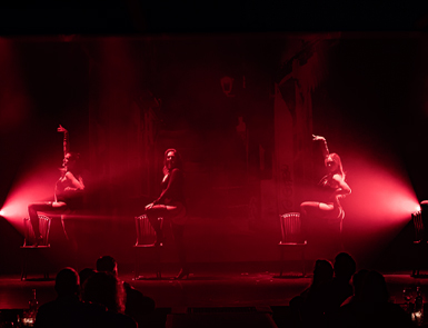 Dinnershow Fantastique sfeerfoto 17